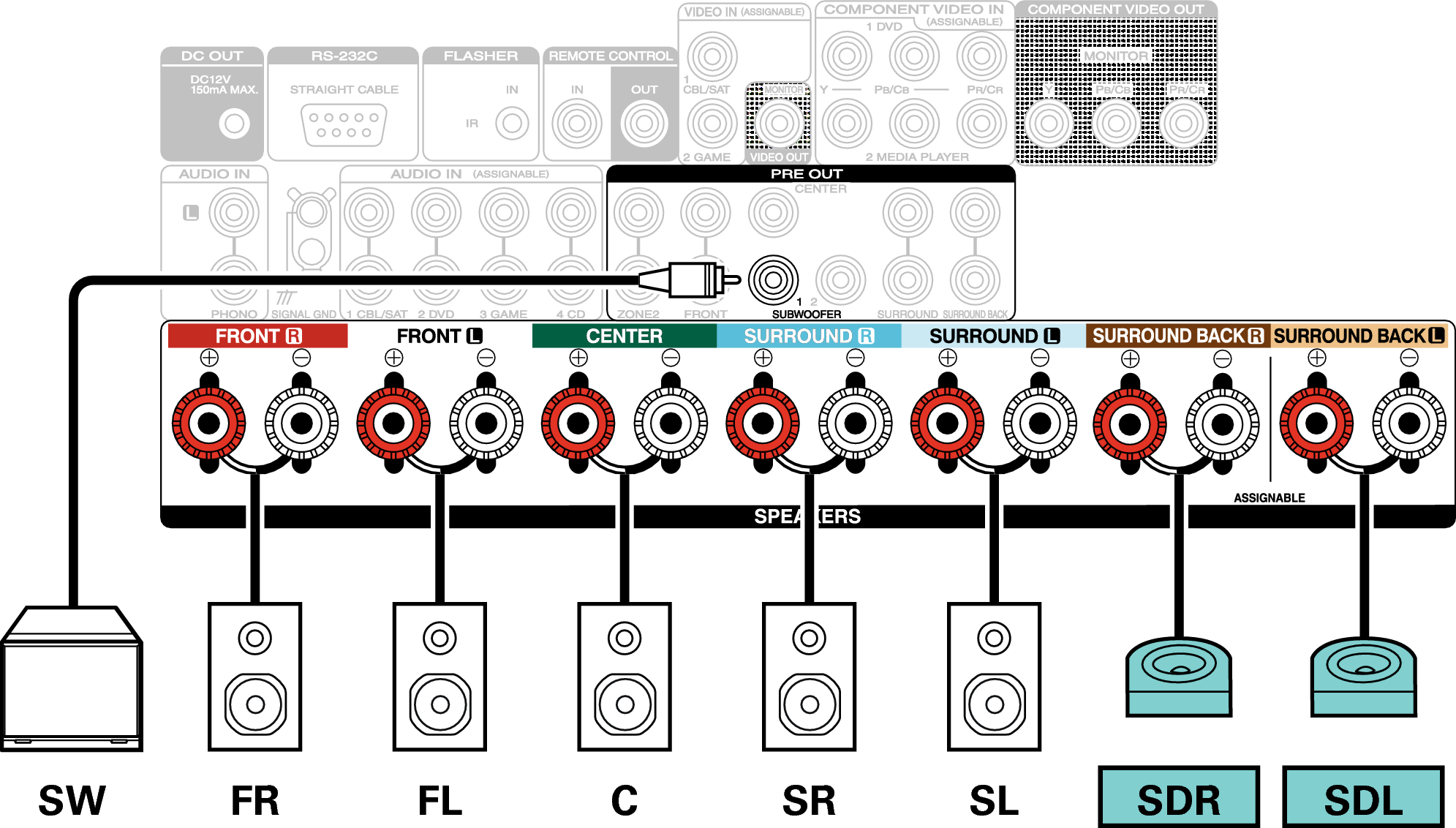 Conne SP 7.1 SD S55U